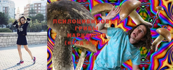 ПСИЛОЦИБИНОВЫЕ ГРИБЫ Дмитров