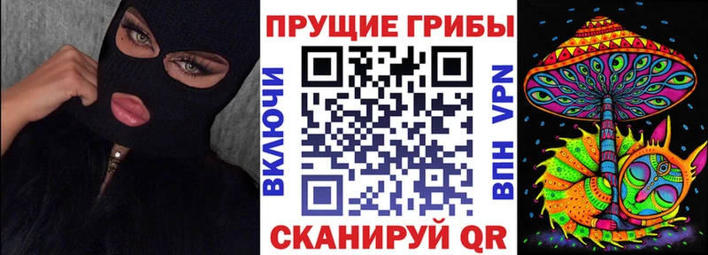 Галлюциногенные грибы Psilocybe  Купить закладки  Бахчисарай 